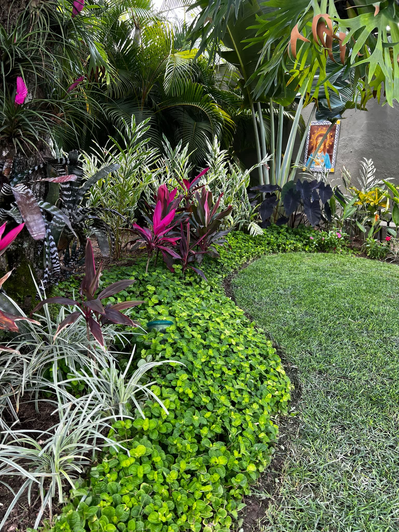 img 7966.webp