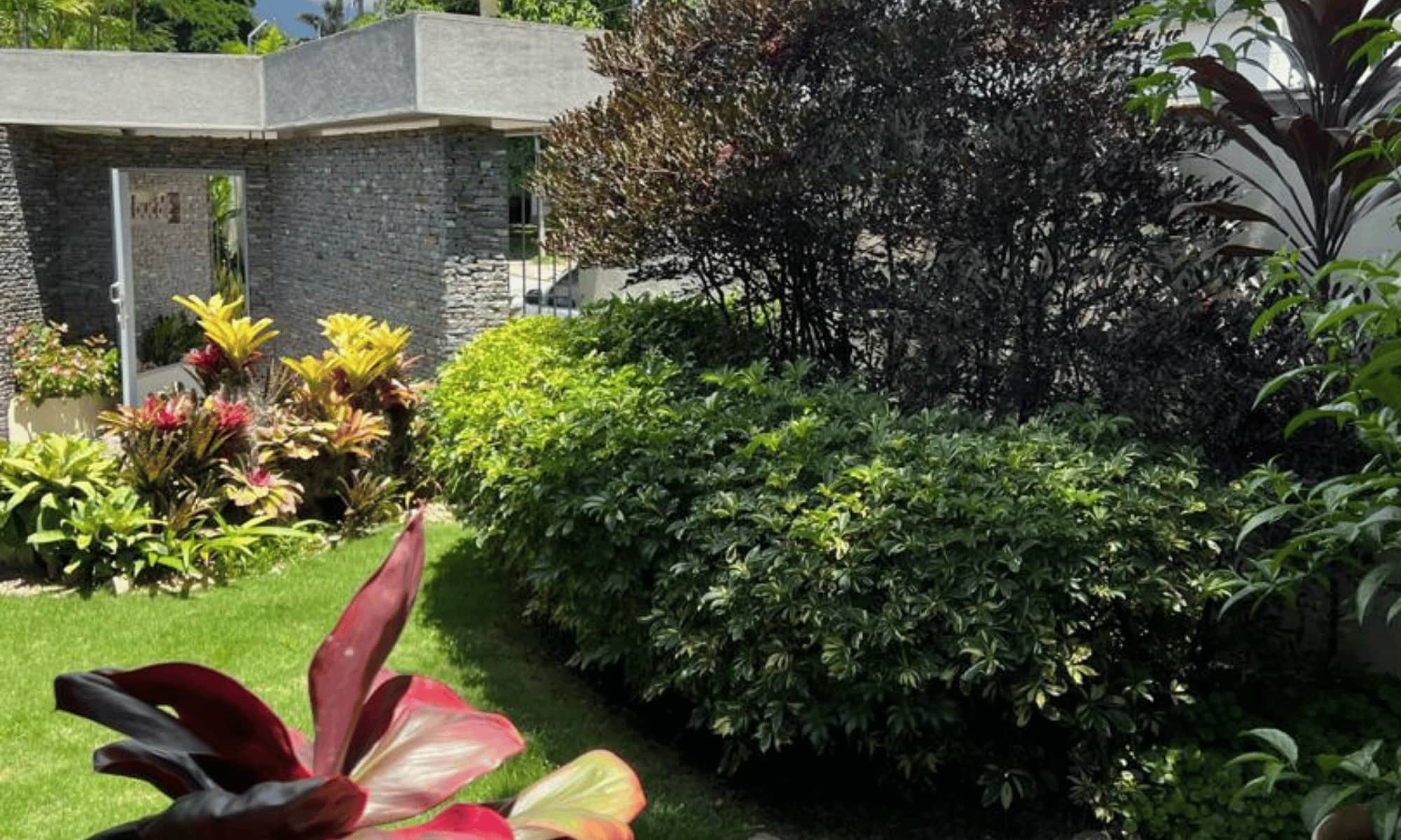 Antes banner 14-Jardin 2 iluminado dia-nuevo-2 Antes banner 14-Jardin 2 iluminado dia-nuevo-2