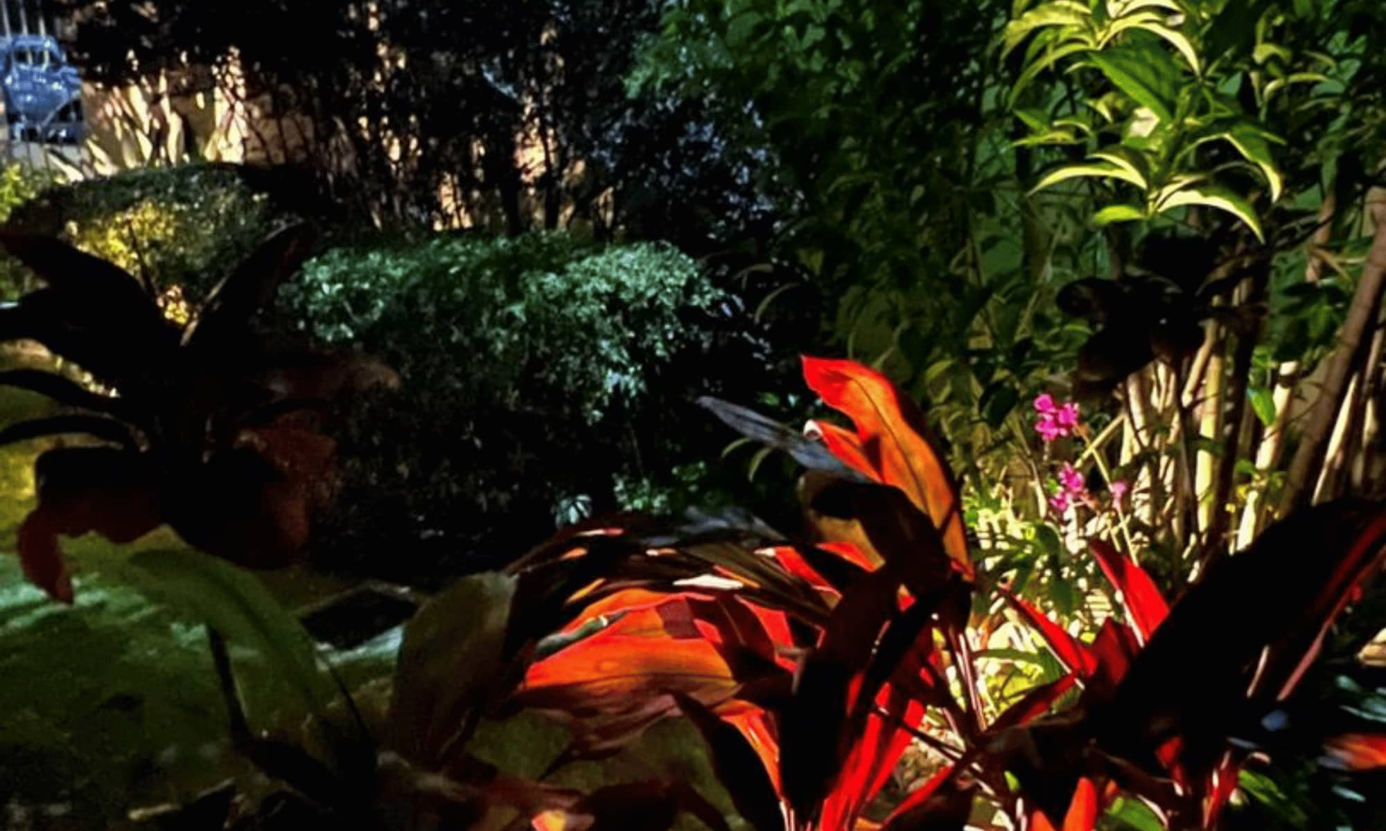 Despues banner 14-Jardin 2 iluminado noche
