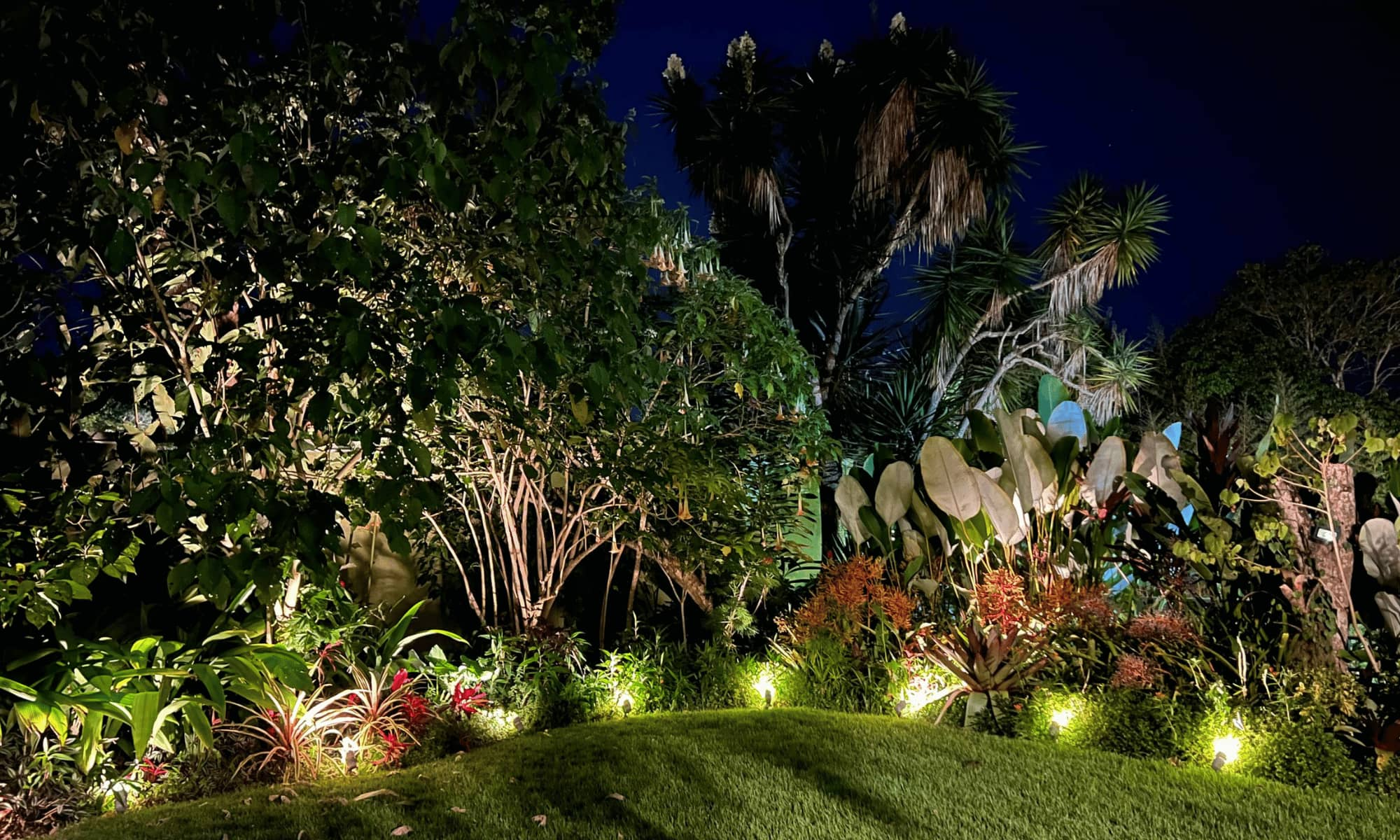 Despues banner 15-Jardin 3 iluminado noche