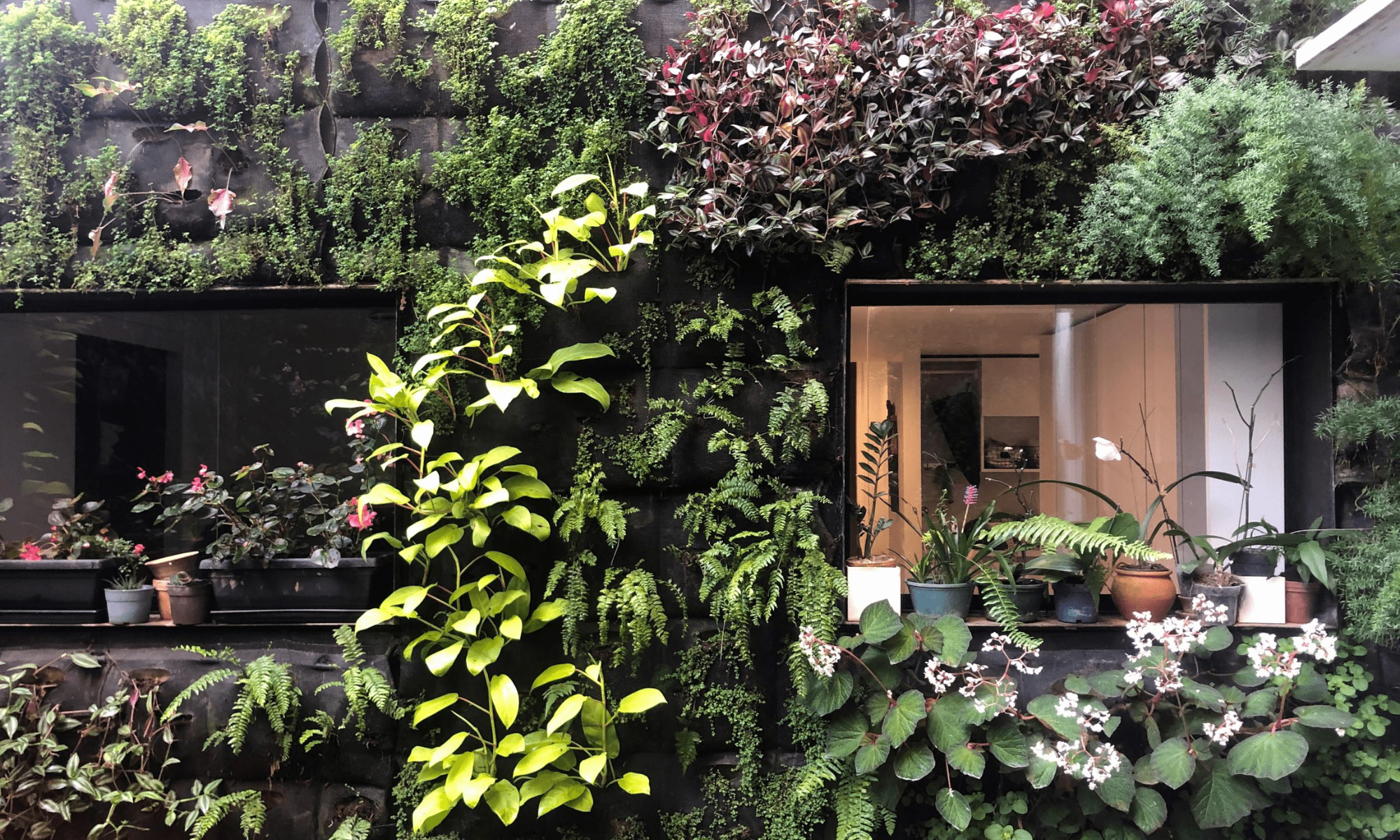 pared ventana antes-min
