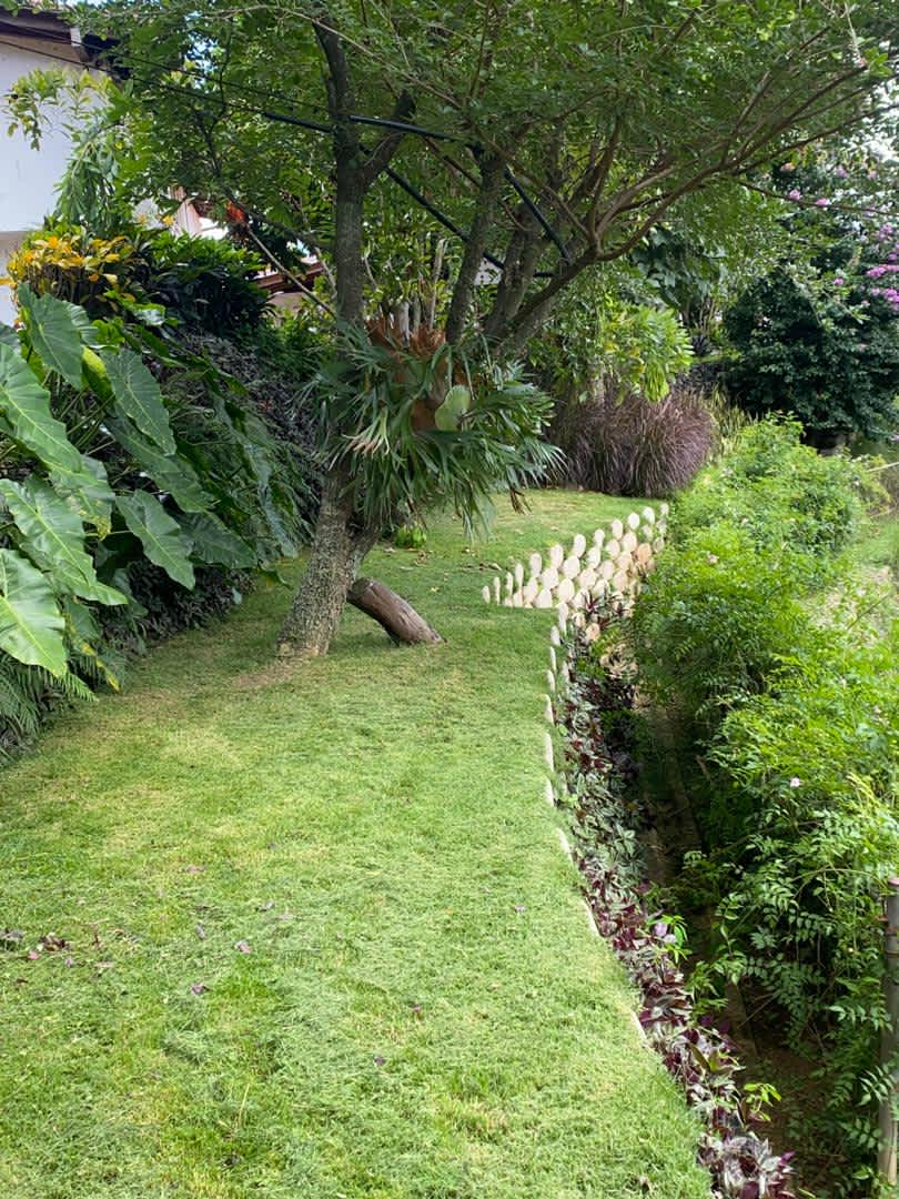 Un muro verde que transforma tu hogar: belleza y valor con Spricklegreen