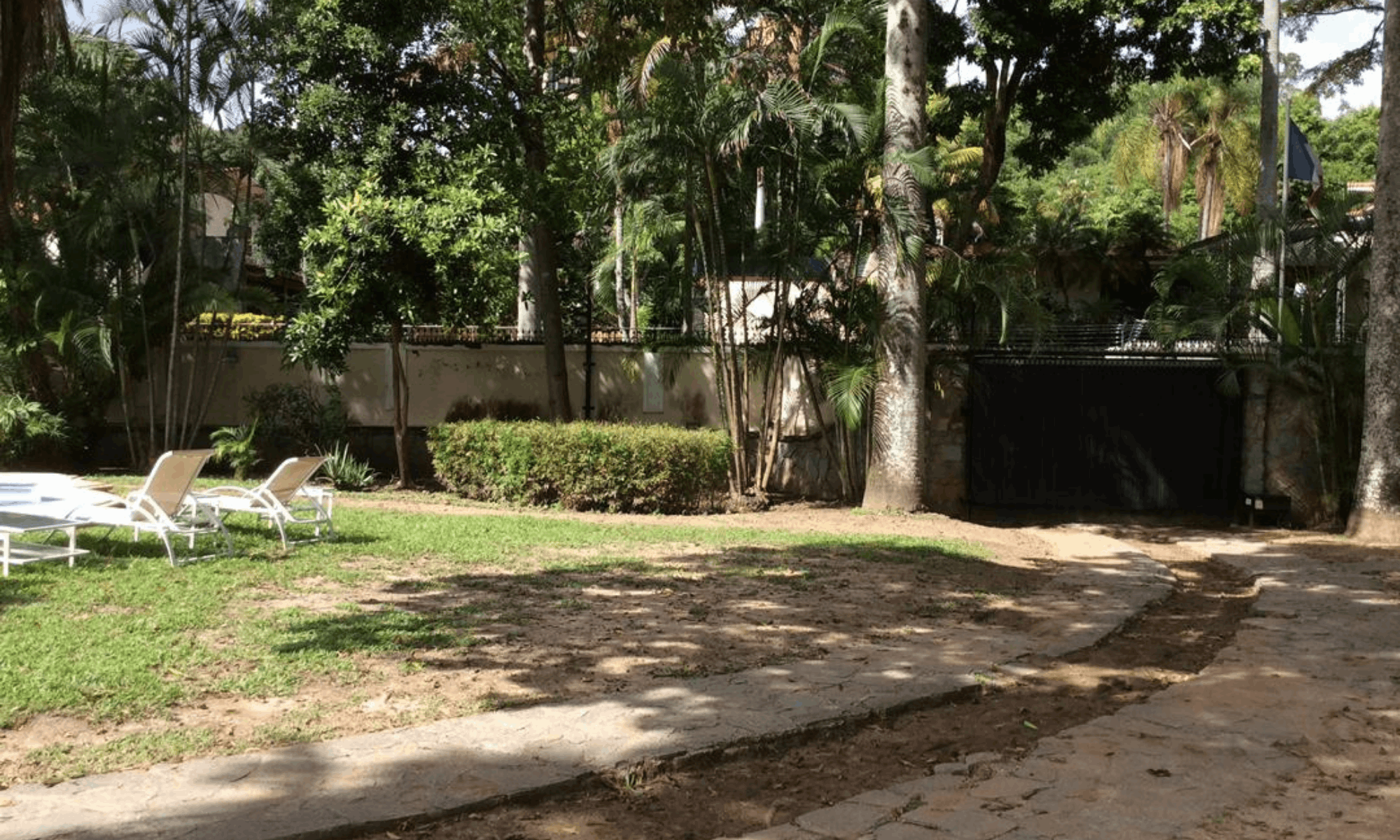 jardin afectado por raices de banbu antes
