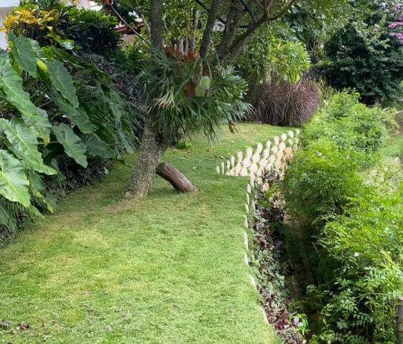 muro spricklegreen